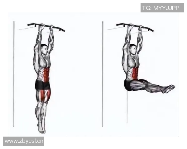 练核心力量的健身器材有哪些？附图文讲解
